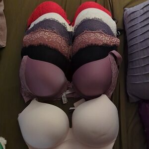 36DD Victoria's Secret Push-Up Bras - Bundle Of 7